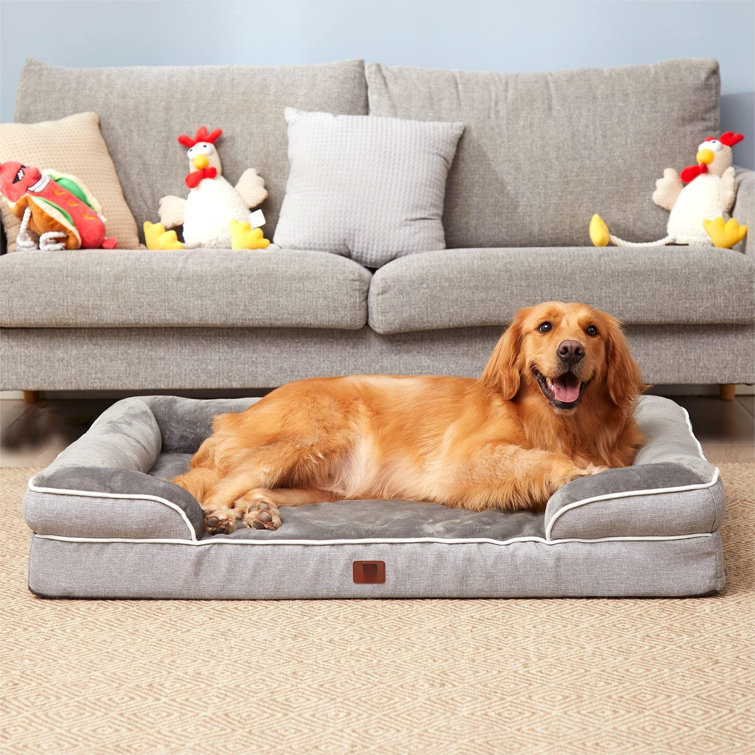 Large dog on sale bed with sides